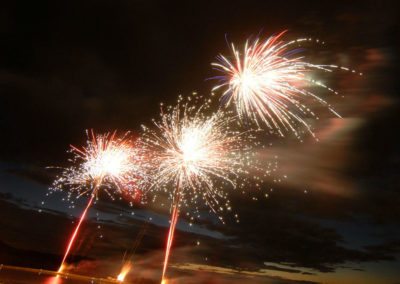 Fireworks 1 Mark Linton
